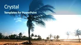 Presentation with palm tree - Presentation featuring desert palm background and a ocean colored foreground