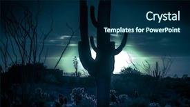  Presentation with tree silhouette - Slide deck with desert silhouette moonlight saguaro cactus background and a navy blue colored foreground