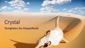  Presentation with skull - Cool new slide set with desert skull africa backdrop and a coral colored foreground