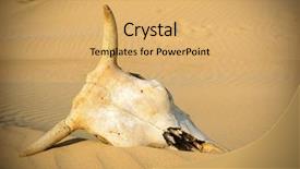  Presentation with skull - Cool new PPT layouts with desert skull sand desert backdrop and a yellow colored foreground