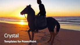  Presentation with stallion - Audience pleasing slide set consisting of desert stallion - horse riding on the beach backdrop and a tawny brown colored foreground