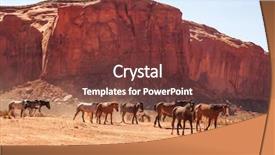  Presentation with wild horses - Presentation theme featuring desert stallion - wild horses walking through monument background and a tawny brown colored foreground