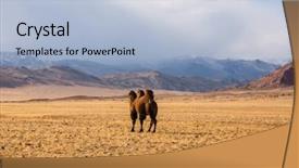  Presentation with mongolia - PPT theme with desert steppes of mongolia background and a light blue colored foreground