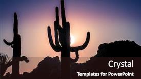  Presentation with tree silhouette - Cool new slide set with desert sunset - saguaro cactus tree backdrop and a wine colored foreground