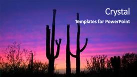  Presentation with saguaro - PPT theme having desert sunset - saguaro cactus background and a navy blue colored foreground