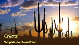  Presentation with saguaro - Audience pleasing slide deck consisting of desert sunset - saguaro national park backdrop and a tawny brown colored foreground
