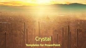  Presentation with saguaro - Audience pleasing PPT layouts consisting of desert sunset - saguaro national park backdrop and a tawny brown colored foreground