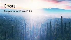  Presentation with saguaro - Presentation design having desert sunset - saguaro national park background and a cream colored foreground