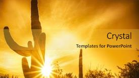  Presentation with phoenix - Beautiful slide deck featuring desert sunset background phoenix az backdrop and a yellow colored foreground