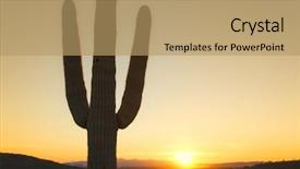  Presentation with saguaro - Slide set consisting of desert sunset with saguaro cactus background and a coral colored foreground