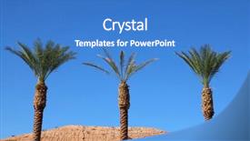  Presentation with oasis - Theme consisting of desert three tall palm tree background and a  colored foreground