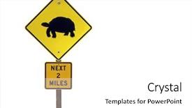  Presentation with nevada desert - Audience pleasing PPT layouts consisting of desert tortoise caution highway sign backdrop and a white colored foreground