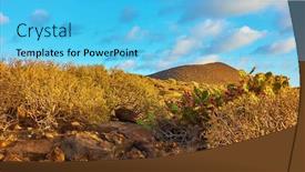  Presentation with landscape desert - Colorful presentation enhanced with desert-with-plants backdrop and a light blue colored foreground