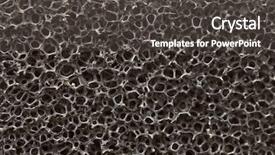  Presentation with element - Cool new PPT layouts with design biologia - biological texture element of design backdrop and a dark gray colored foreground