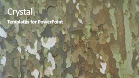  Presentation with nature design - Colorful slide deck enhanced with design biologia - nature background tree bark backdrop and a gray colored foreground