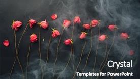  Presentation with breath - Slides having design breath - goth style dry roses black background and a dark gray colored foreground