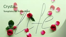  Presentation with pink green - Slide deck with design breath - inscription life with pink roses background and a soft green colored foreground