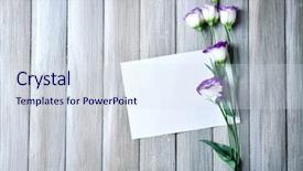  Presentation with art white gray grey - Colorful presentation design enhanced with design flower - composition of white sheet backdrop and a sky blue colored foreground