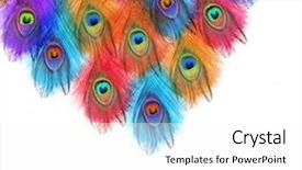  Presentation with peacock - Slides featuring design indonesia - peacock feathers peacock carnival background and a  colored foreground