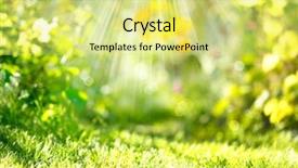  Presentation with abstract spring green - PPT theme enhanced with design natures - nature spring blurred background background and a  colored foreground