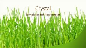  Presentation with picnic - Presentation featuring design summer picnic - grass background and a cream colored foreground