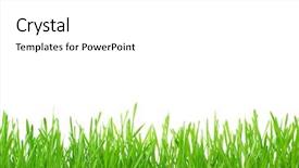  Presentation with picnic - Theme enhanced with design summer picnic - green grass isolated on white background and a white colored foreground