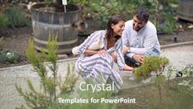  Presentation with working together - Beautiful presentation theme featuring designer-people-exterior-in-plant backdrop and a violet colored foreground