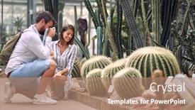  Presentation with cactus - Presentation having designer-young-man-picture background and a coral colored foreground