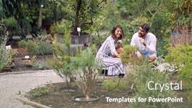  Presentation with young plant - Colorful presentation theme enhanced with designer-young-woman-choose-beautiful backdrop and a violet colored foreground