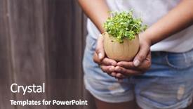  Presentation with trophy award hand holding - Cool new presentation theme with garden desin - woman's hand holding radish sprouts backdrop and a dark gray colored foreground