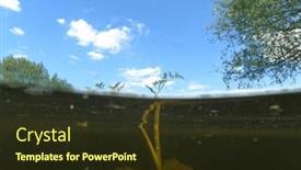  Presentation with underwater wild nature sea life - Theme having desna-river-natural-underwater-landscape background and a  colored foreground