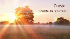  Presentation with foggy - Beautiful PPT theme featuring desolate - uk foggy field in winter backdrop and a lemonade colored foreground