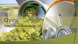  Presentation with corkscrew - Audience pleasing PPT layouts consisting of food processed industry - chardonnay corkscrew crusher destemmer backdrop and a yellow colored foreground
