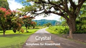  Presentation with tobacco - Cool new slides with destination and a major tobacco backdrop and a gray colored foreground