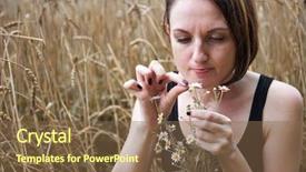  Presentation with group of three young girl - Colorful PPT layouts enhanced with destiny - young girl with a bouquet backdrop and a tawny brown colored foreground