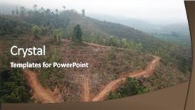  Presentation with palm oil industry - PPT layouts enhanced with destroyed for palm oil industry background and a tawny brown colored foreground
