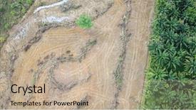  Presentation with palm oil industry - Beautiful PPT layouts featuring destroyed for palm oil industry backdrop and a mint green colored foreground