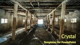  Presentation with texas cattle - Colorful slide set enhanced with destroying home - abandoned destroyed cattle barn interior backdrop and a tawny brown colored foreground