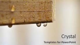  Presentation with water droplet drops on plant - Slide set consisting of detail closeup of water drops background and a lemonade colored foreground