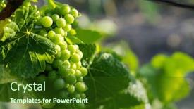  Presentation with vine - Theme enhanced with detail-grapes-of-the-vine background and a tawny brown colored foreground