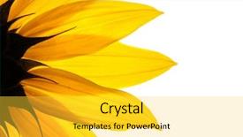  Presentation with bright white - Slide deck consisting of detail isolated on white background background and a yellow colored foreground