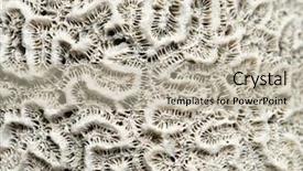  Presentation with text the texture mineral - Cool new presentation theme with detail of a coral backdrop and a mint green colored foreground