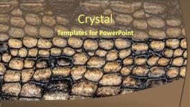  Presentation with fish scales - Amazing presentation having detail-of-a-fish-eating backdrop and a tawny brown colored foreground