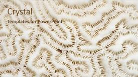  Presentation with watercolor paper texture white art - PPT theme featuring detail of a white coral background and a lemonade colored foreground