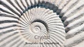  Presentation with stone - Amazing PPT theme having ammonites - detail of an ancient carved backdrop and a light gray colored foreground