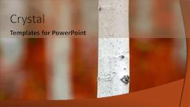  Presentation with fall - Slide set featuring detail-of-aspen-tree background and a coral colored foreground