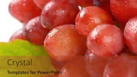  Presentation with bunch - Slide set having detail of bunch of washed red grapes background and a red colored foreground