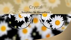  Presentation with summer flowers - Audience pleasing PPT theme consisting of detail-of-daisies-daisy-flowers backdrop and a  colored foreground