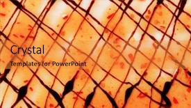  Presentation with food - Audience pleasing theme consisting of detail of food art - picture backdrop and a  colored foreground