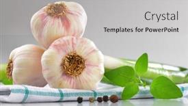  Presentation with garlic - Presentation with detail of fresh garlic bulbs on checkered dishtowel background and a light gray colored foreground